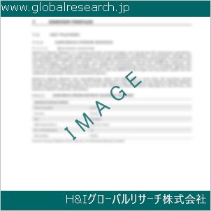 グローバルリサーチ調査資料のイメージ